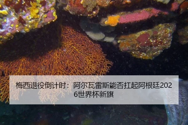 mei-xi-tui-yi-dao-ji-shi-a-er-wa-lei-si-neng-fou-kang-qi-a-gen-ting-shi-jie-bei-xin-qi-2-133.jpg