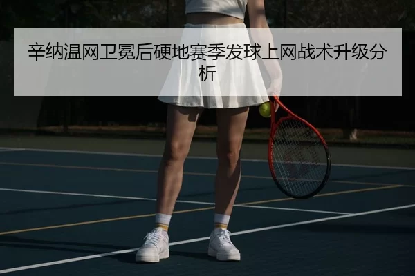 xin-na-wen-wang-wei-mian-hou-ying-di-sai-ji-fa-qiu-shang-wang-zhan-shu-sheng-ji-fen-xi-3-460.jpg