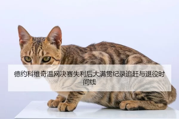德约科维奇温网决赛失利后大满贯纪录追赶与退役时间线
